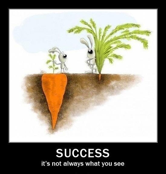 230140-Funny+garden+quotes++